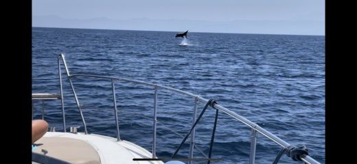 Aeolian Islands Motorboat Innovazioni e Progetti Mira 37 alt tag text