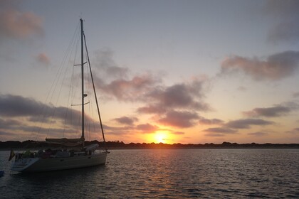 Fairline Targa 36 Open