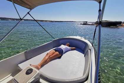 SEM LICENCA. Marion 500 Classics Bei