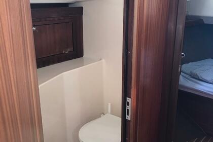 Sas Vektor 401, Anika