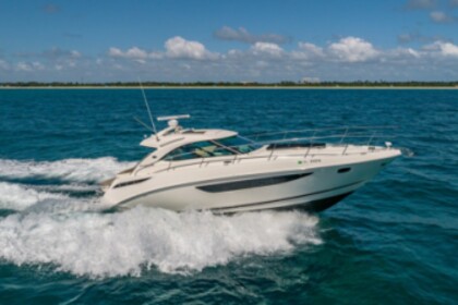 Charter Motorboat Searay 45 2017 Miami Beach