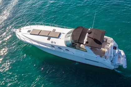 Hire Motor yacht Sea Ray Sundance 500 Playa Panama