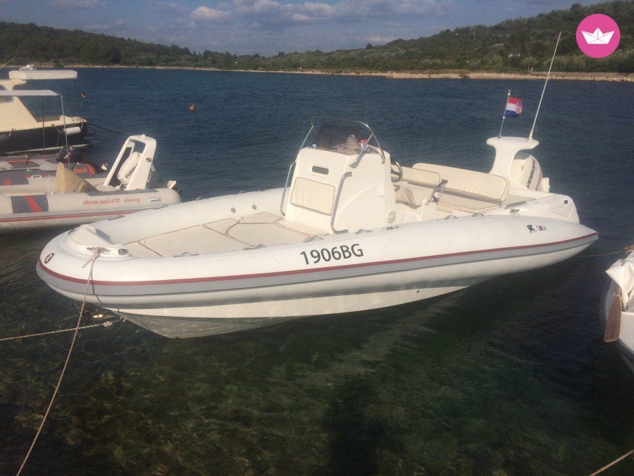 RIB Custom Rib Doge 7  