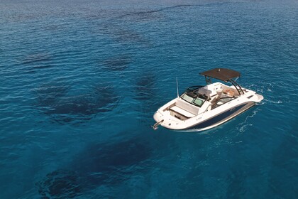 Sea Ray 250 SDX