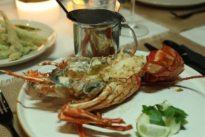 PURPOSE, Fountaine Pajot Saba 50