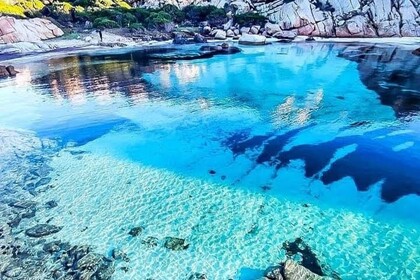 Alquiler Neumática Original Marine Original 580 La Maddalena