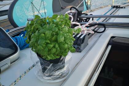 Dufour 44 - day sailing experience