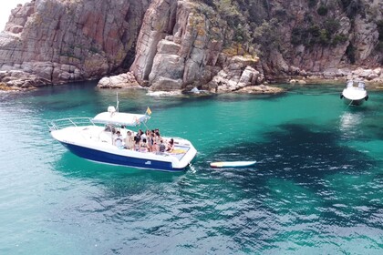 Charter Motorboat Bluesail Costa Brava Blanes