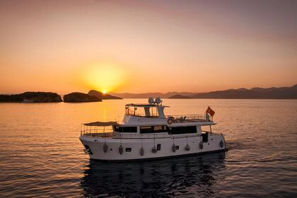 Custom Built motor boat / Trawler 2017 model