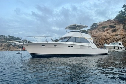 Hire Motor yacht Bertram 54 Ibiza
