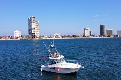 Luhrs 420 Sportfisher