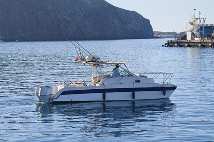 Charter Motorboat Glacier Bay Runner Los Cristianos