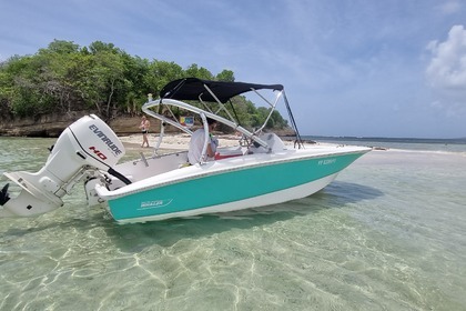 Rental Motorboat Boston Whaler 150 Super Sport Le François