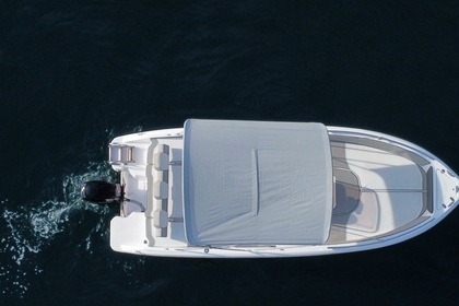 NEXT by SCAR 195 (5.90mt)