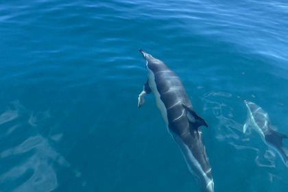 Beneteau 8.8 Spacedeck for rent