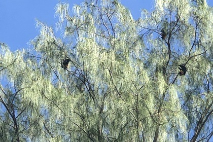 Daily private boat excursions