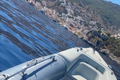 Boat Tours & Sea Transfers