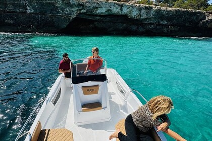 Miete Boot ohne Führerschein  Barqa Q20 Rapallo