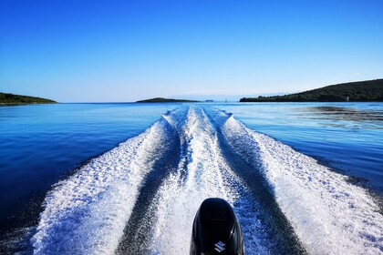 Prince 570 open Suzuki 140hp