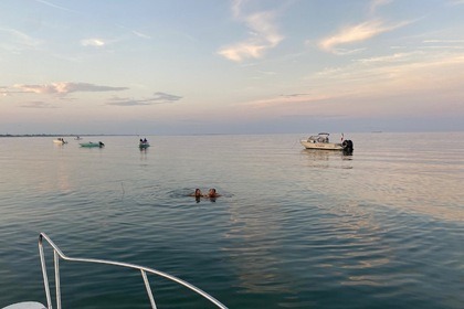 Miete Motorboot Boston Whaler Revenge 25 Venedig