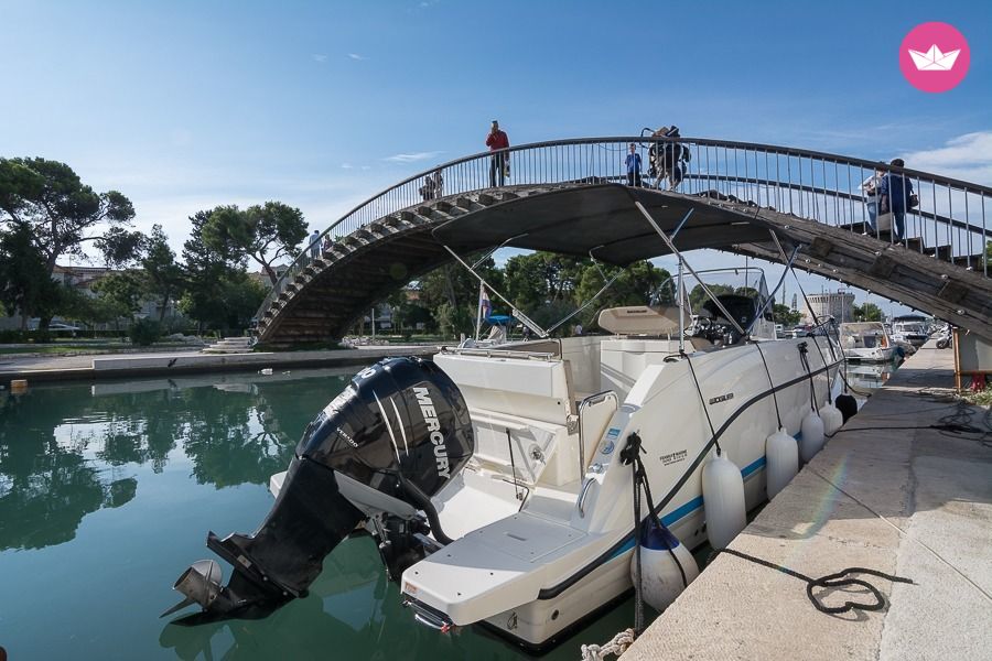 Quicksilver Activ 805 Open in Split for hire