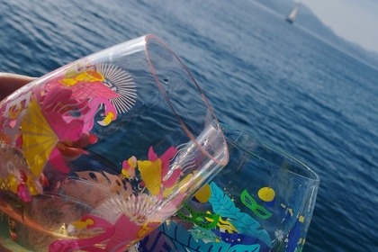 Verhuur Motorboot Girly Yacht Day Charter Cannes