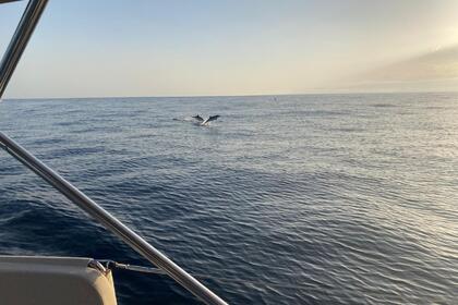 MELOMAXI 2 DUFOUR 390 GL