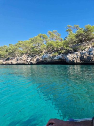 Cala d'Or RIB VD PRO VD PRO alt tag text