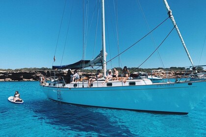 Charter Sailboat Formosa Peterson 46 La Savina