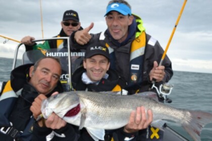 Location Semi-rigide Humber Ocean PRO 700 Royan