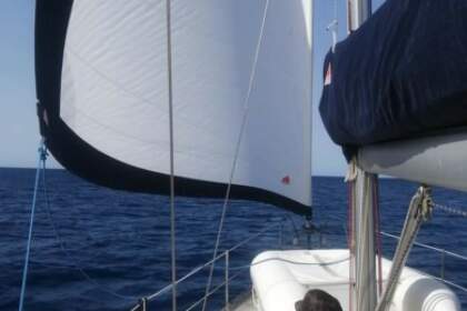 Veleggiate, Tuffi, Snorkeling, Trekking, Abbufate non si riposa quasi mai