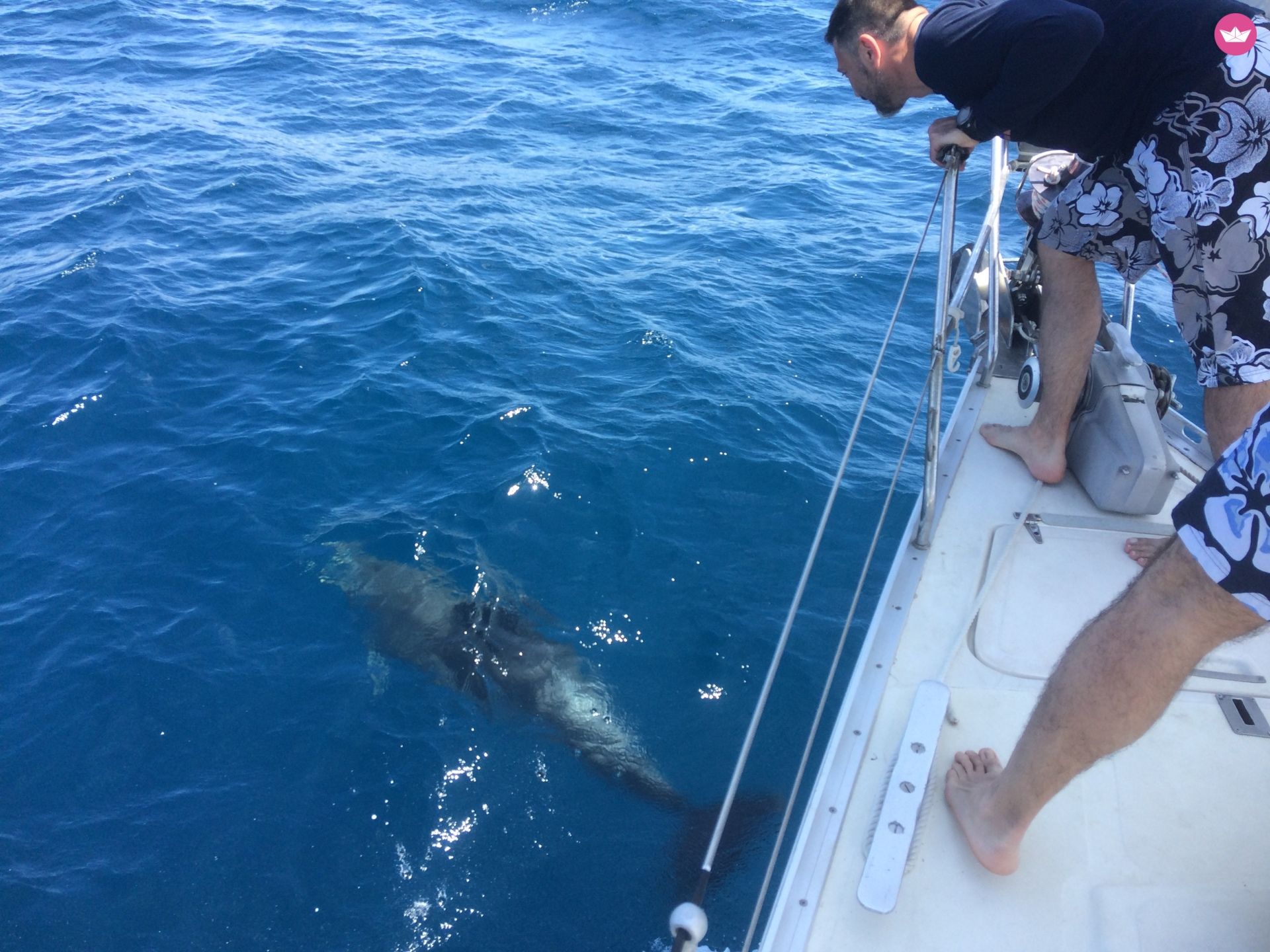 Dromor Triton 48 in Athens  