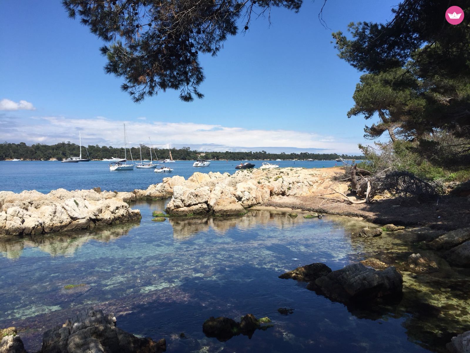 Location bateau à moteur à Antibes de particuliers et professionnels