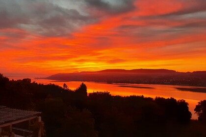 Sea Ray SPXE190 (mit Skipper)