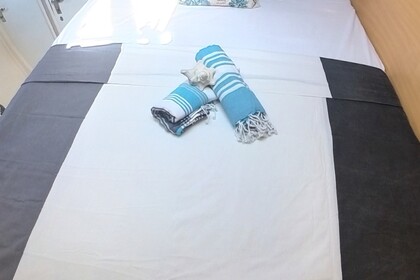 Robertson & Caine Leopard 47