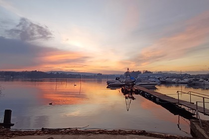 Bruno Abbate Primatist G36