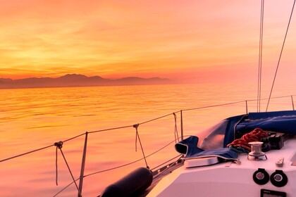 Sailboat Trips and Tours