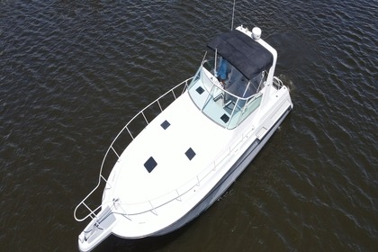 Charter Motorboat Bertram 420 Mazatlán