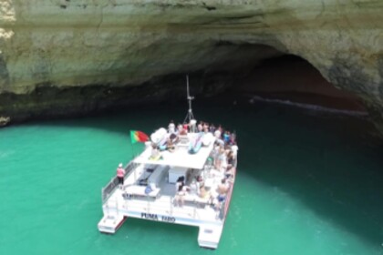 Motor catamaran Puma