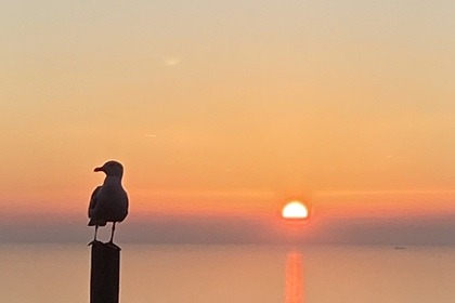 SUNSET TOUR 6.30 - 9 PM