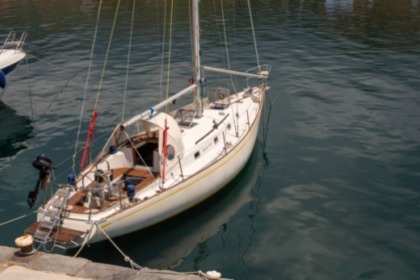 Charter Sailboat Alpa 11,50 Acciaroli