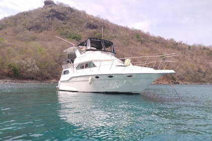 Hire Motorboat Cruisers CRUISERS YATCH 3850 AFT Le Lamentin