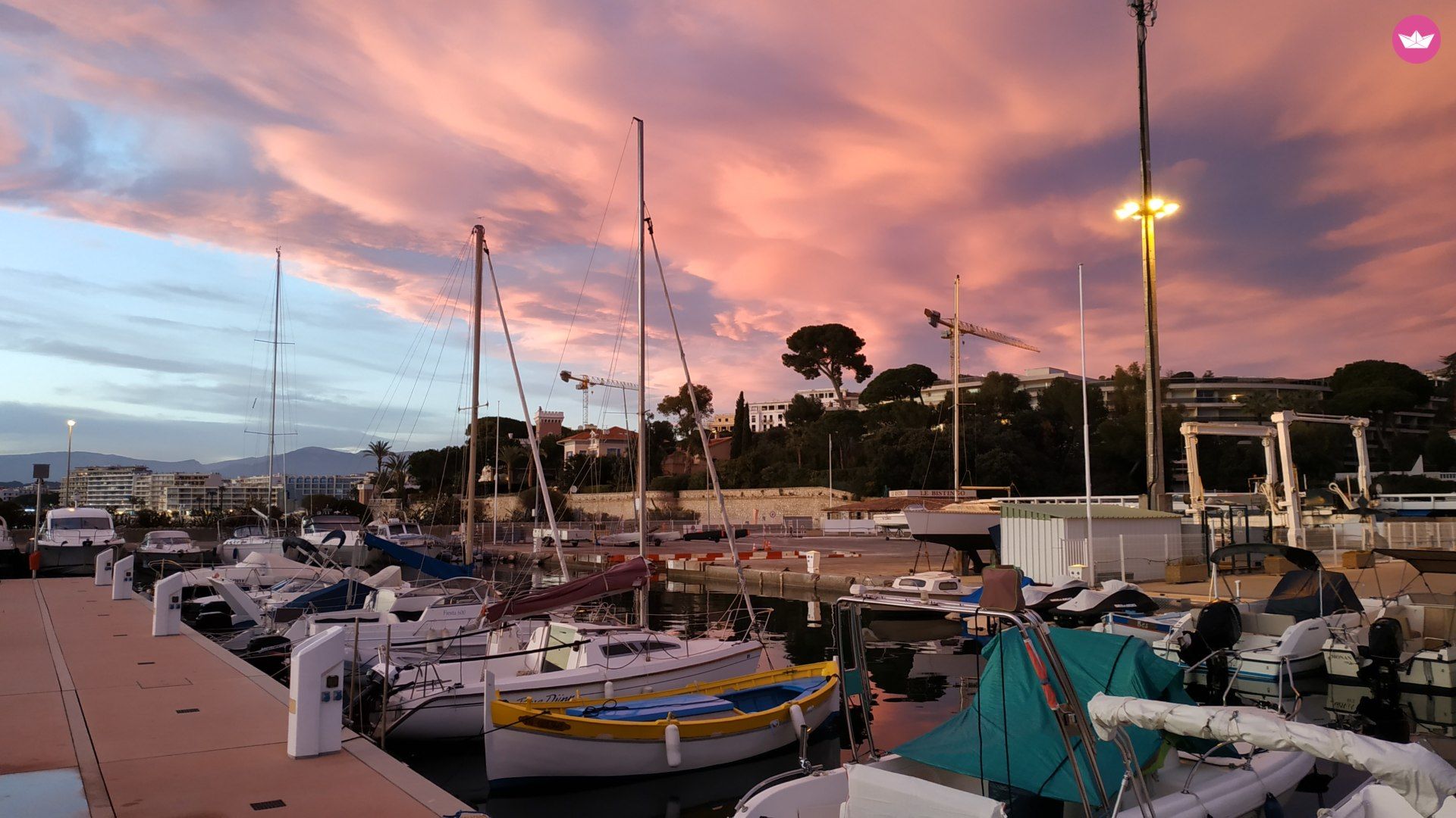 Motorboat Quicksilver Activ 535  