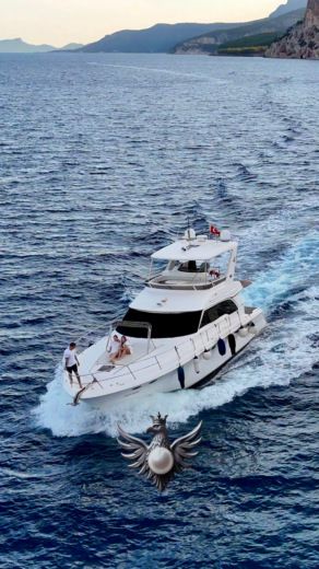 Motorboat Sea Ray 480 sedan bridge Boot Grundriss