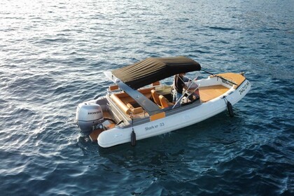 Shark 23 + 150 hp Honda