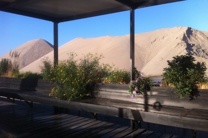 Péniche Florence - Croisière au départ d'Anvers avec possibilité de monter à bord en cours de route