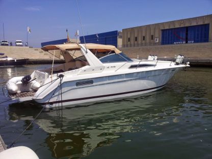 Charter Motorboat Sea Ray 36 Naples