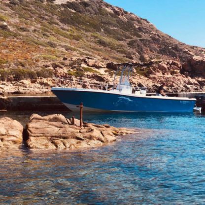 Location Bateau à moteur Mako 261B Calcatoggio