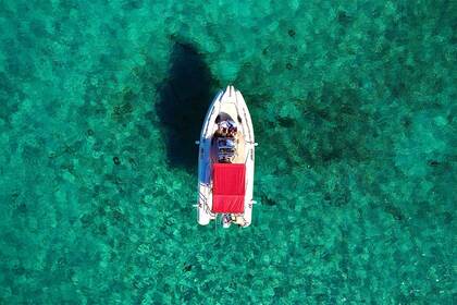 Mieten Sie ein Boot mit Skipper in Trogir, Joker Clubman 24, perfektes RIB