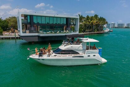 Rental Motorboat Sea Ray 40 Miami Beach